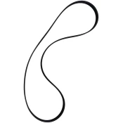 Drive Belt
