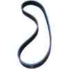 Drive Belt