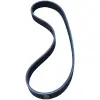 Drive Belt