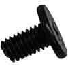 M6 × 10mm_Phillips Head Screw
